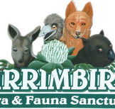 Wirrimbirra Sanctuary - Tweed Heads Accommodation