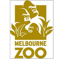 Melbourne Zoo - Tweed Heads Accommodation