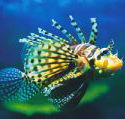Underwater World - Tweed Heads Accommodation