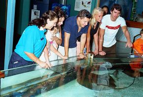 Underwater World - Tweed Heads Accommodation 3
