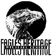 Eagles Heritage - Tweed Heads Accommodation
