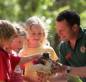 Cleland Wildlife Park - Tweed Heads Accommodation