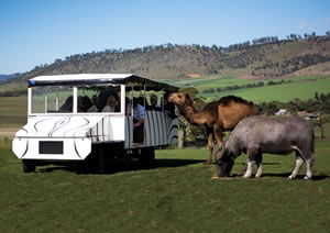 Zoo Doo Wildlife Park - Tweed Heads Accommodation 2