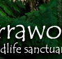 Warrawong Wildlife Park - Tweed Heads Accommodation