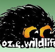 OZe Wildlife - Tweed Heads Accommodation