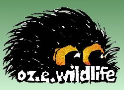 OZe Wildlife - Tweed Heads Accommodation 0
