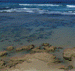 Canberra Contemporary Art Space - Tweed Heads Accommodation
