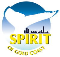 Spirit of Gold Coast Whale Watching - Tweed Heads Accommodation