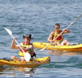 Manly Kayaks - Tweed Heads Accommodation