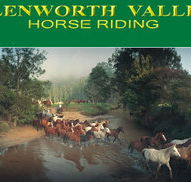 Glenworth Valley Horseriding - Tweed Heads Accommodation