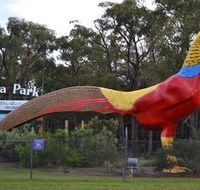 Gumbuya Park - Tweed Heads Accommodation