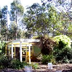 Koala Conservation Centre - Tweed Heads Accommodation 1