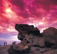 Kangaroo Island Adventure Tour 2 day/1 night - Tweed Heads Accommodation