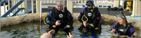 Scuba World - Tweed Heads Accommodation 2