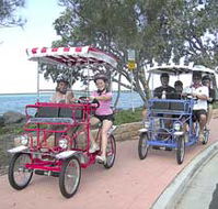 Beach Safaris - Tweed Heads Accommodation