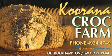 Koorana Saltwater Crocodile Farm - Tweed Heads Accommodation 0