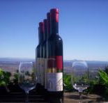 Mount Tamborine Winery  Homestead - Tweed Heads Accommodation