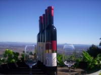 Mount Tamborine Winery & Homestead - Tweed Heads Accommodation 0