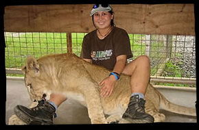 Cairns Wildlife Safari Reserve - Tweed Heads Accommodation 1