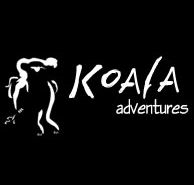 Koala Adventures - Tweed Heads Accommodation