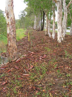 Kumbartcho Sanctuary - Tweed Heads Accommodation 1