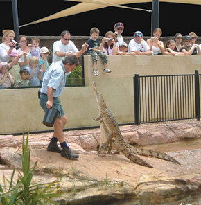 Symbio Wildlife Gardens - Tweed Heads Accommodation 3
