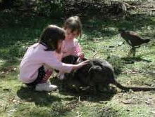Urimbirra Wildlife Park - Tweed Heads Accommodation 1