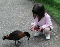 Urimbirra Wildlife Park - Tweed Heads Accommodation 3