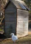 Wagga Wagga Zoo - Tweed Heads Accommodation 2