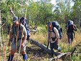 Adventure Out - Tweed Heads Accommodation 3