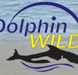 Dolphin Wild - Tweed Heads Accommodation