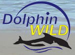 Dolphin Wild - Tweed Heads Accommodation 0