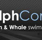 Dolphcom - Dolphin  Whale Swimming Adventures - Tweed Heads Accommodation