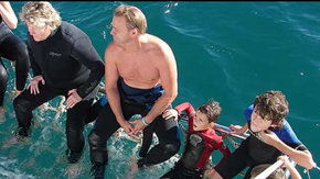 Dolphcom - Dolphin & Whale Swimming Adventures - Tweed Heads Accommodation 2