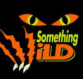 Something Wild - Tweed Heads Accommodation