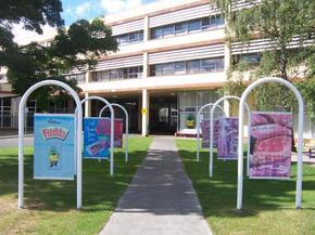Cadbury Chocolate Factory Tour - Tweed Heads Accommodation 2