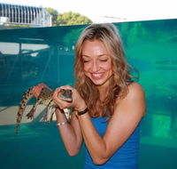 Crocosaurus Cove - Tweed Heads Accommodation
