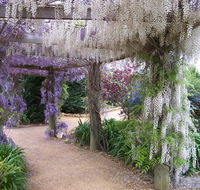Abingdon Miniature Village - Tweed Heads Accommodation
