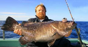 Bravo Fishing Charters - Tweed Heads Accommodation 0