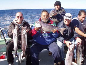 Bravo Fishing Charters - Tweed Heads Accommodation 1