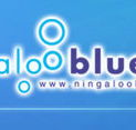 Ningaloo Blue Dive - Tweed Heads Accommodation
