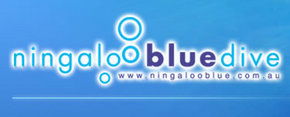 Ningaloo Blue Dive - Tweed Heads Accommodation 0