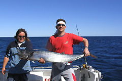 Ningaloo Blue Dive - Tweed Heads Accommodation 3