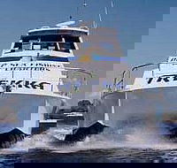 Sunshine Coast Fishing Charters - Tweed Heads Accommodation