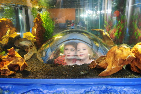 Scitech - Tweed Heads Accommodation 3