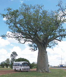 Kununurra Cruises - Tweed Heads Accommodation 1