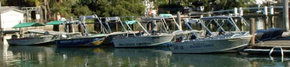 Brooklyn Central Boat Hire & General Store - Tweed Heads Accommodation 1