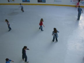 Liverpool Catholic Club Rink - Tweed Heads Accommodation 3