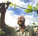 Barossa Experience Tours - Tweed Heads Accommodation
