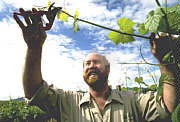 Barossa Experience Tours - Tweed Heads Accommodation 0